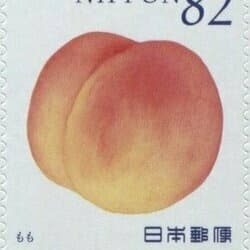 ⋆｡ﾟ☁︎｡⋆｡ ﾟ☾ ﾟ｡⋆