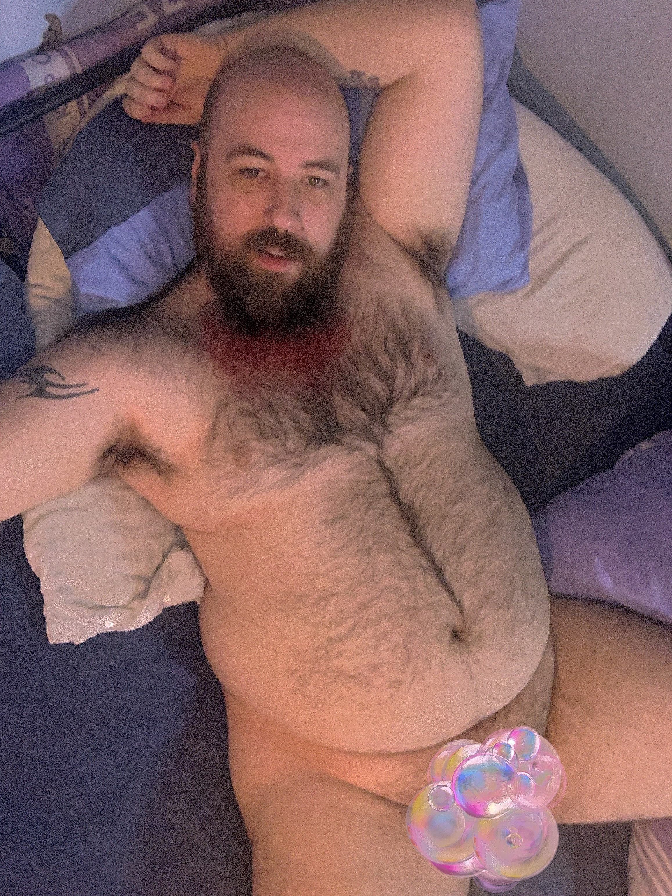 British_Bear69