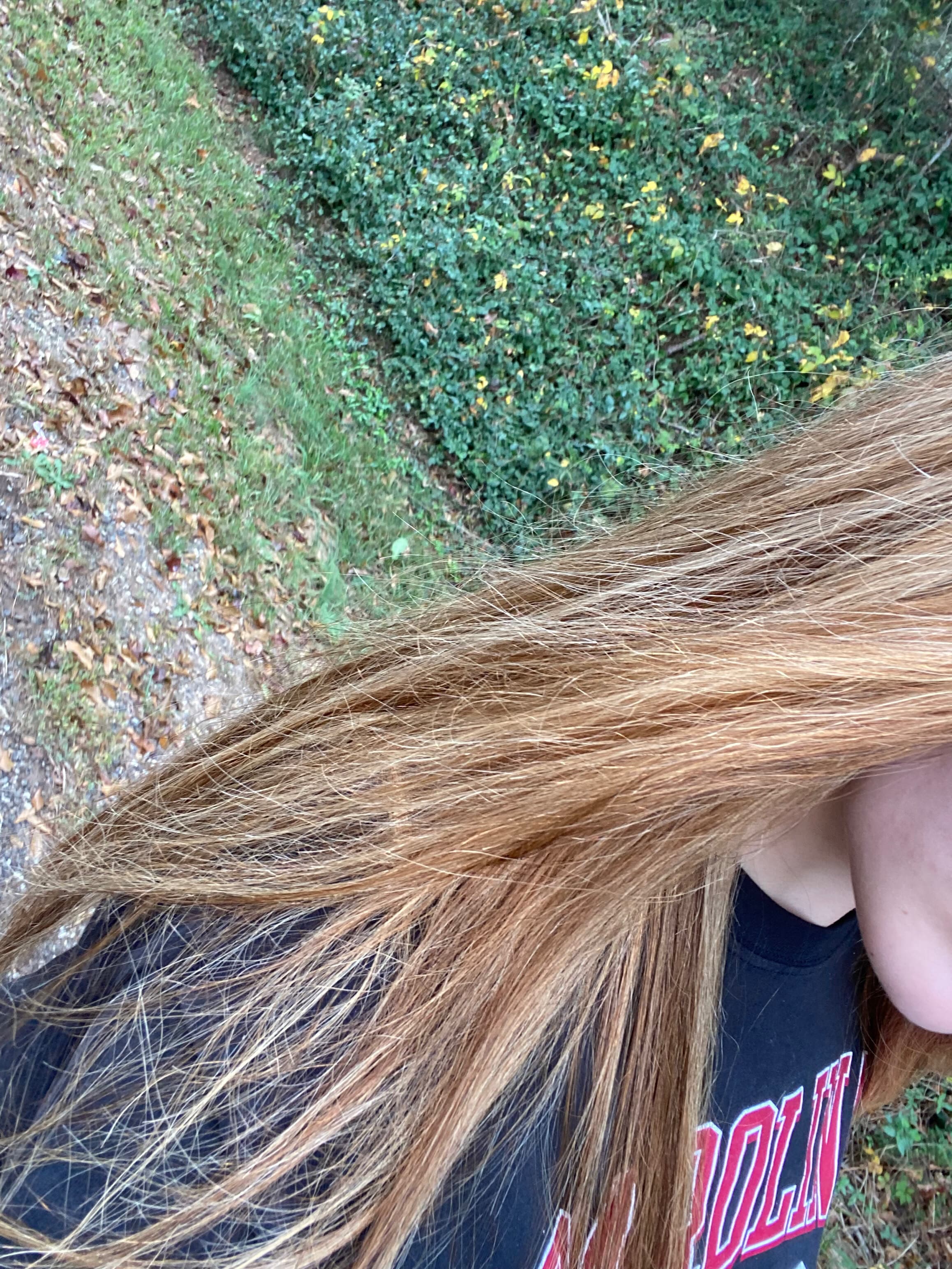 𝒩𝒾𝒸𝑜𝓁𝑒 🎶