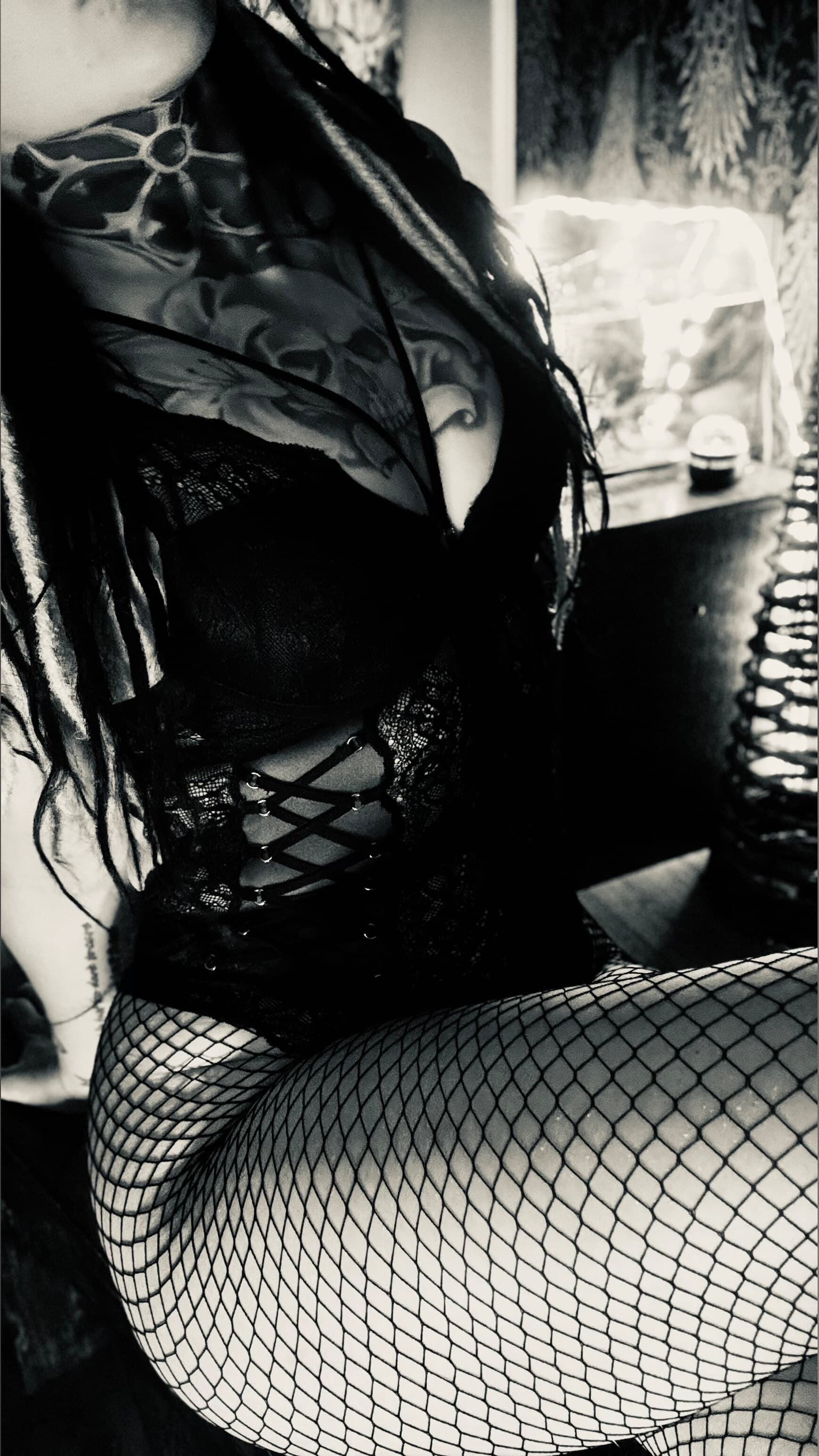 🌸 Fatponycat 🌸