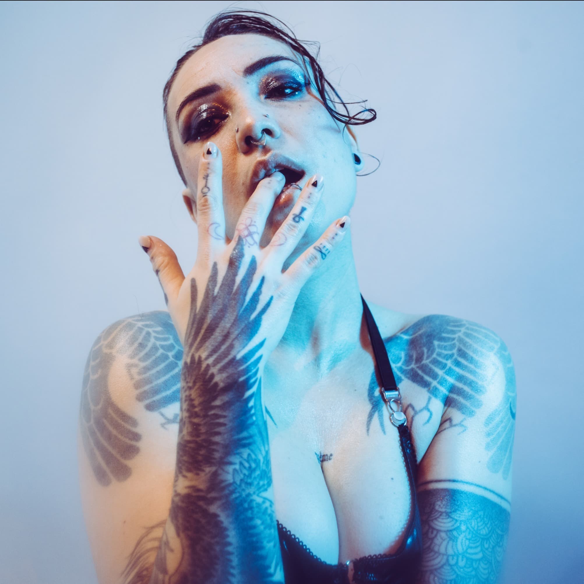 Ursinae Vespera ʕ·͡ᴥ·ʔ