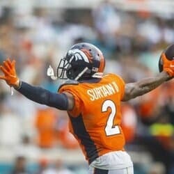 THE DONKEYS ARE BACK