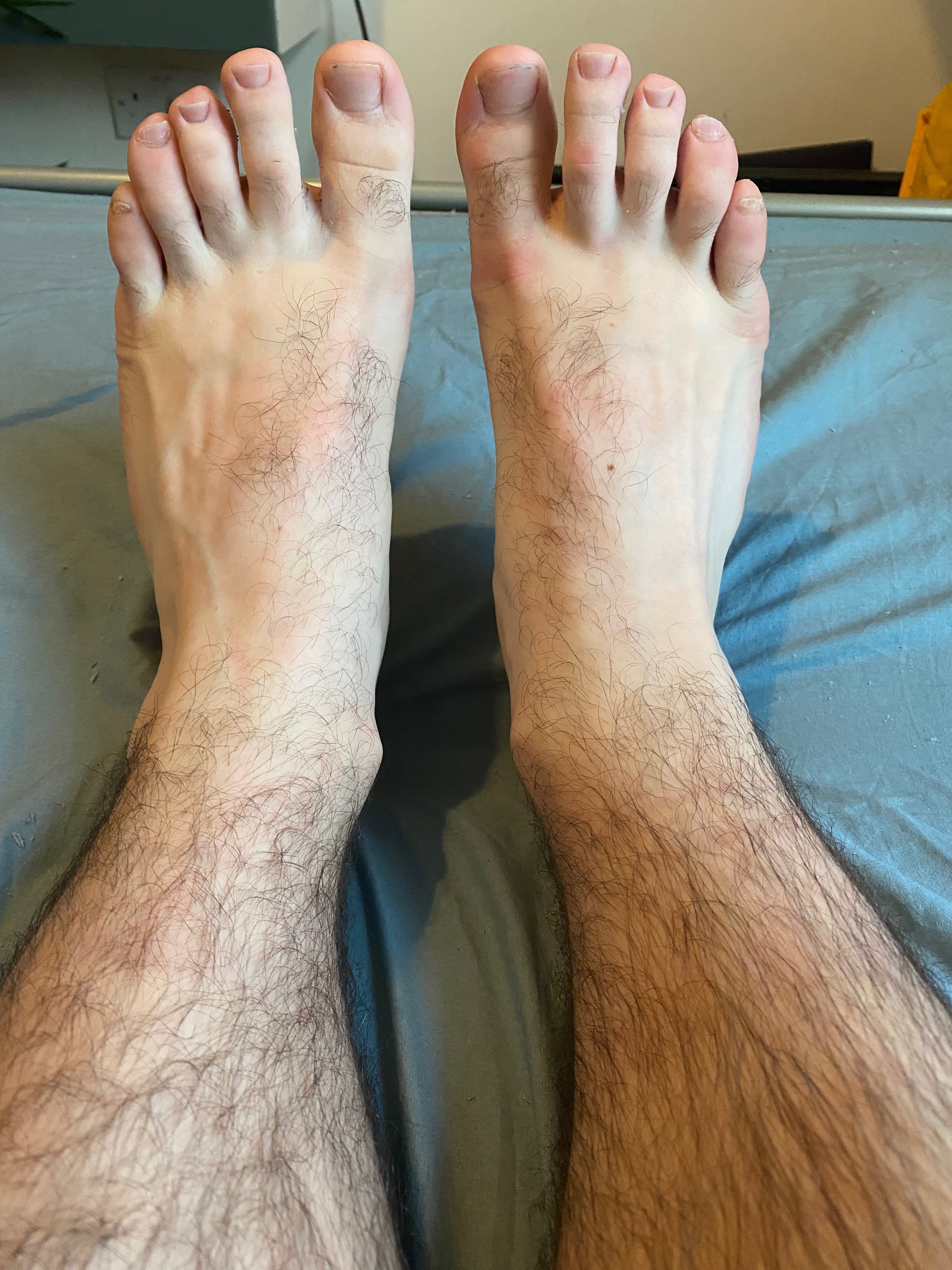 Hiking Bear Feet