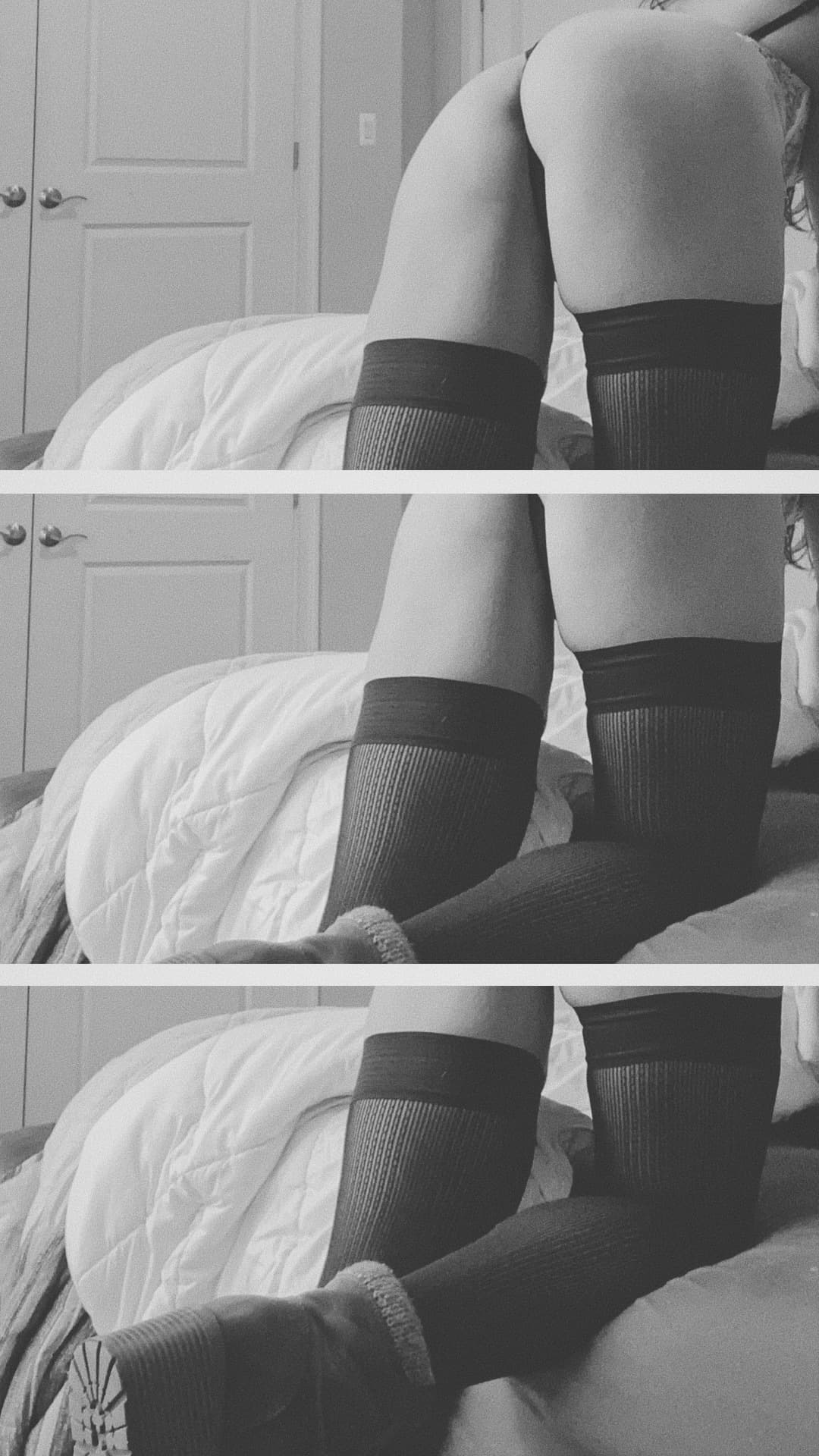 K A C E Y  |  N O V A K