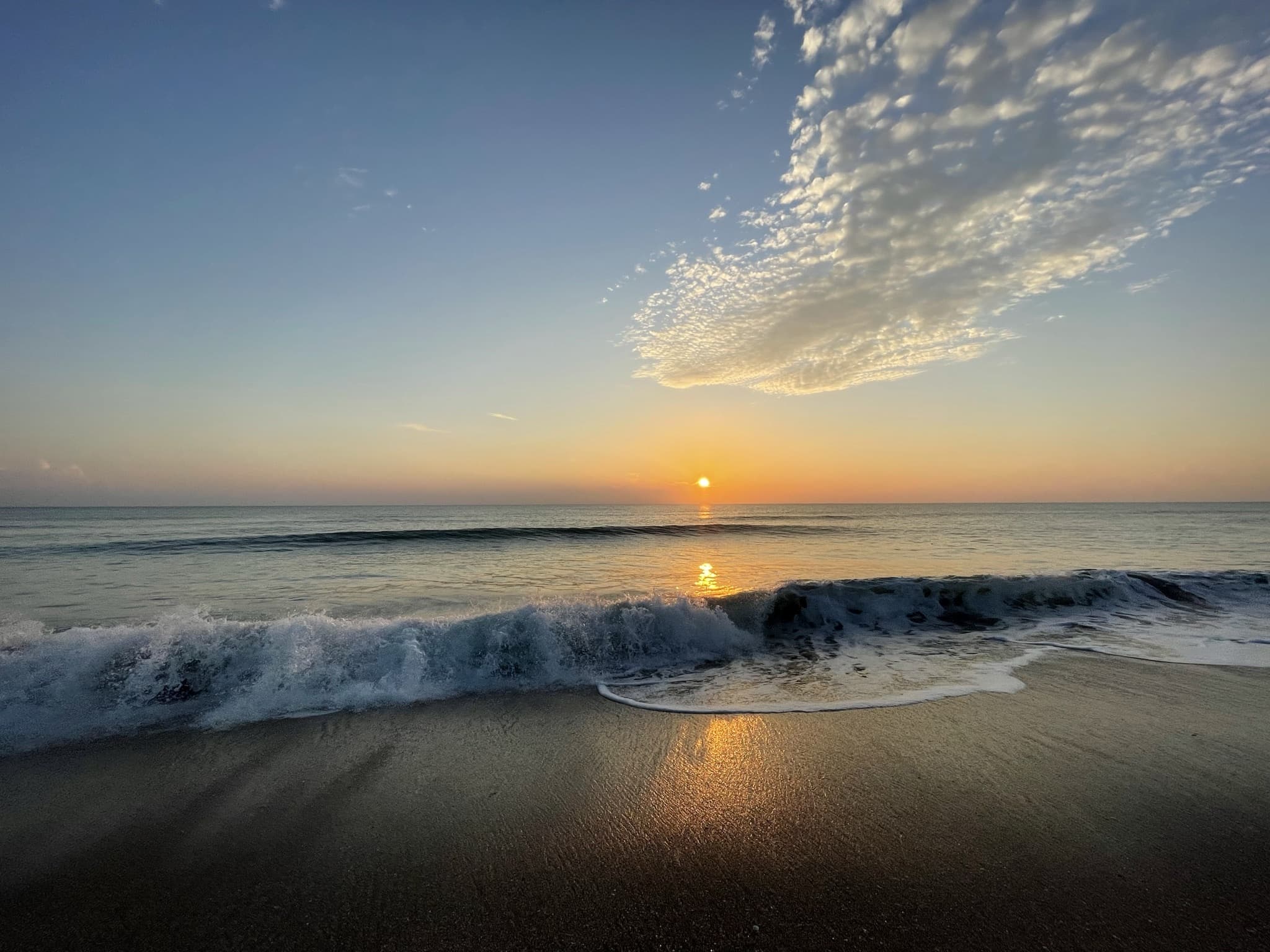 LiAleExperience Premium!