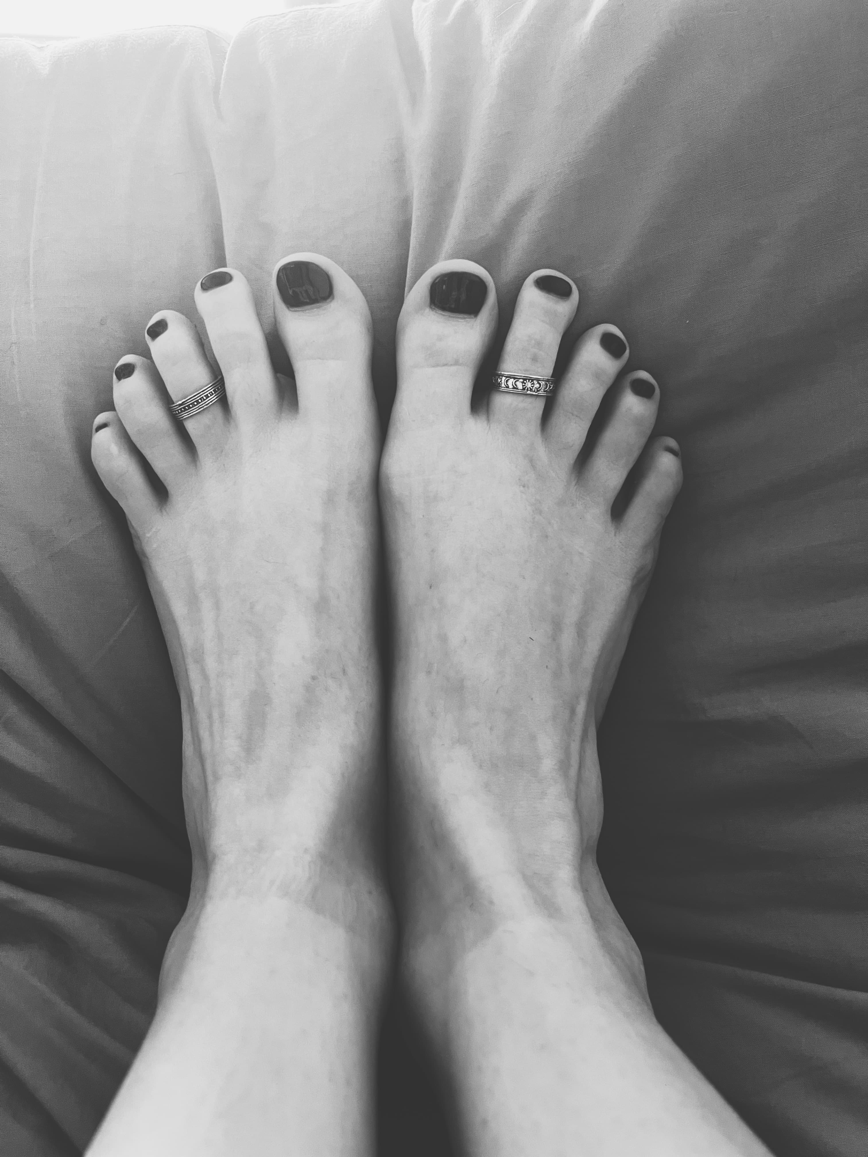 𝐿𝒾𝓁𝓎𝒷𝓊𝒷𝒷𝓁𝑒𝐹𝑒𝑒𝓉