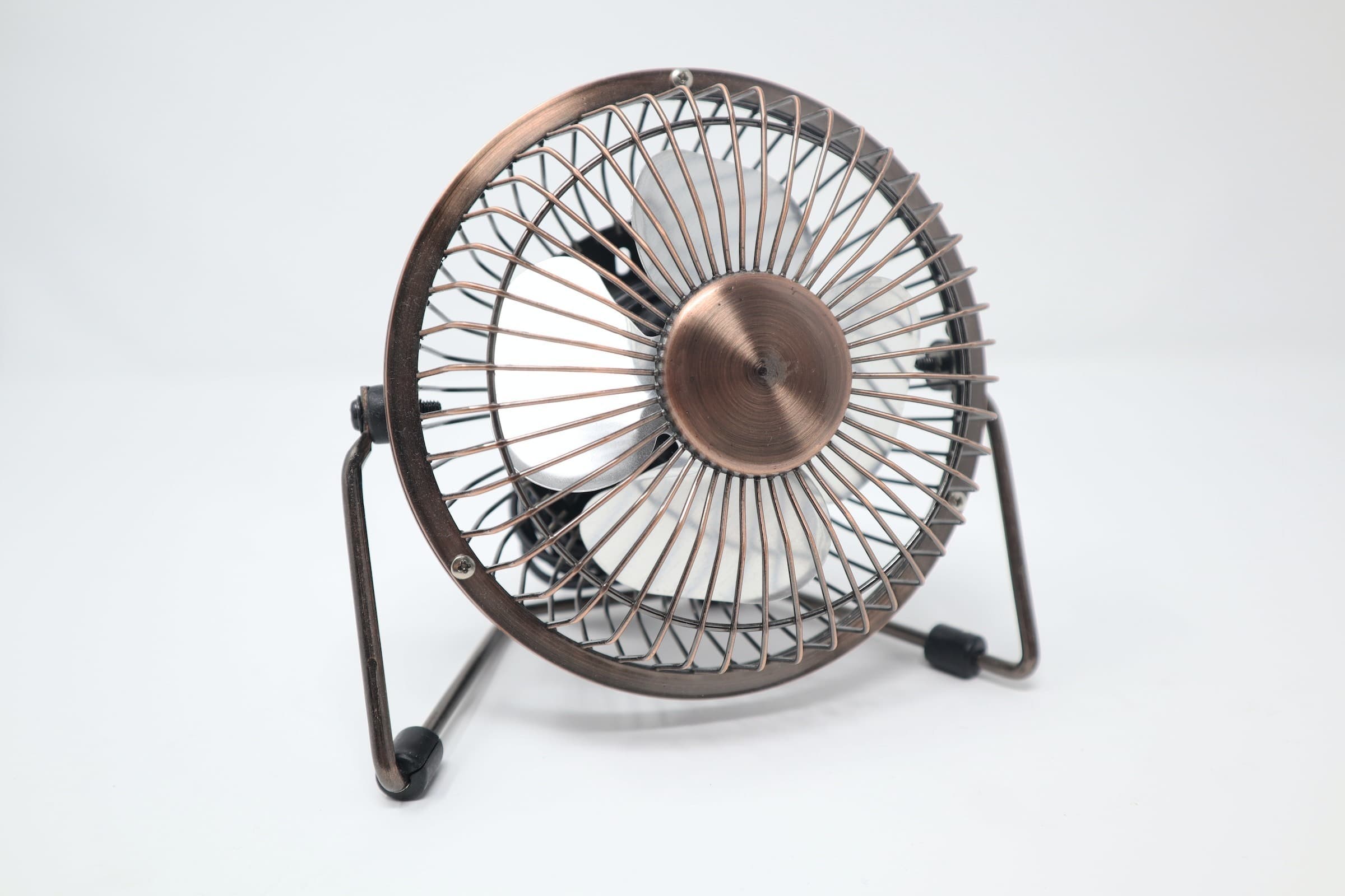 Literally Just Fans