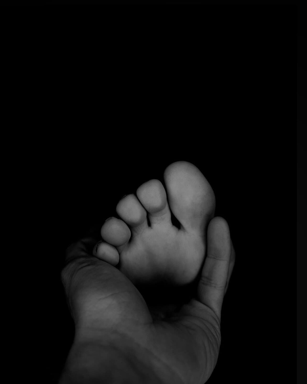 Lonestar_footography