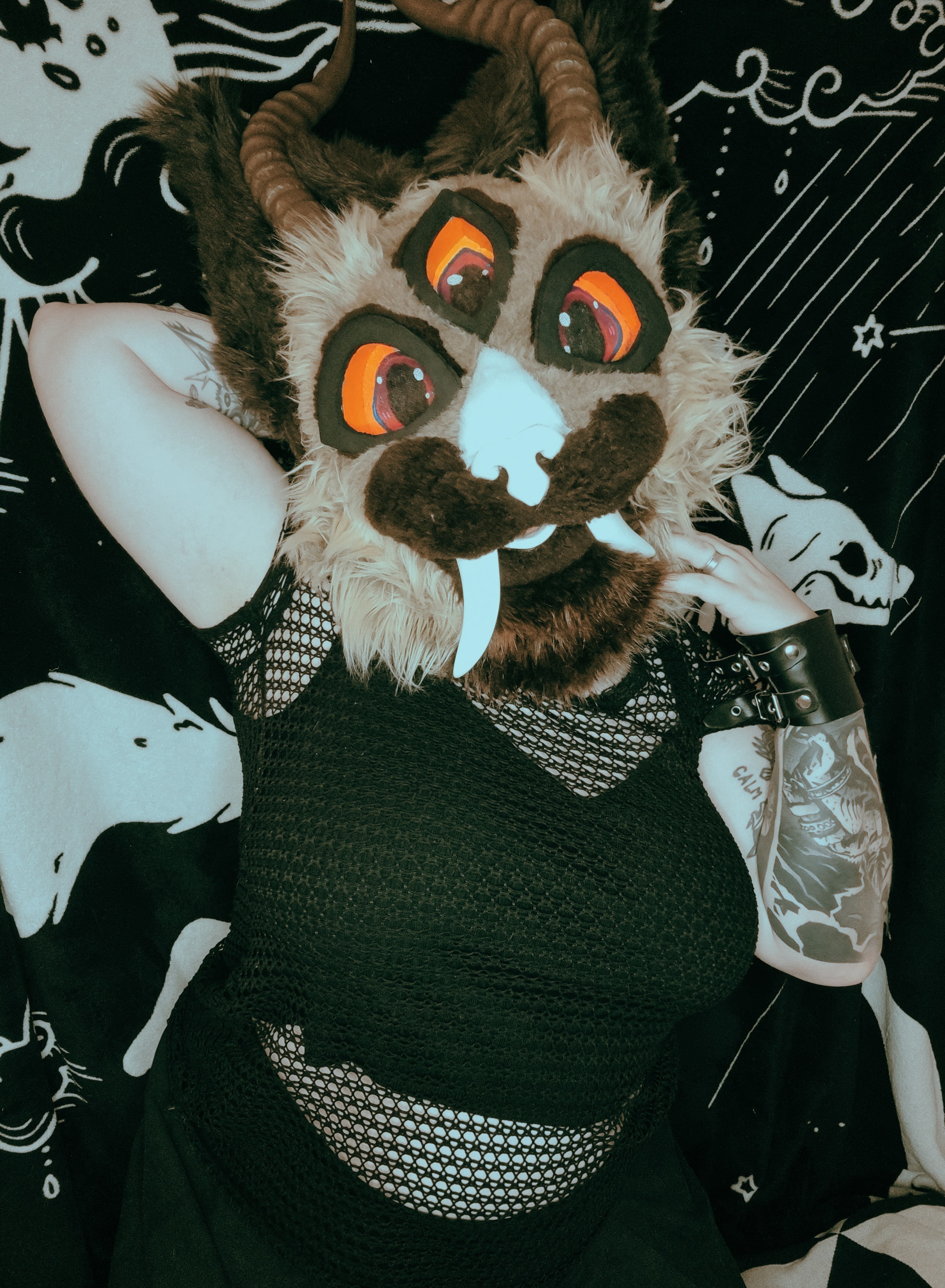 Meanwoof FREE OF (RETIRED💦)