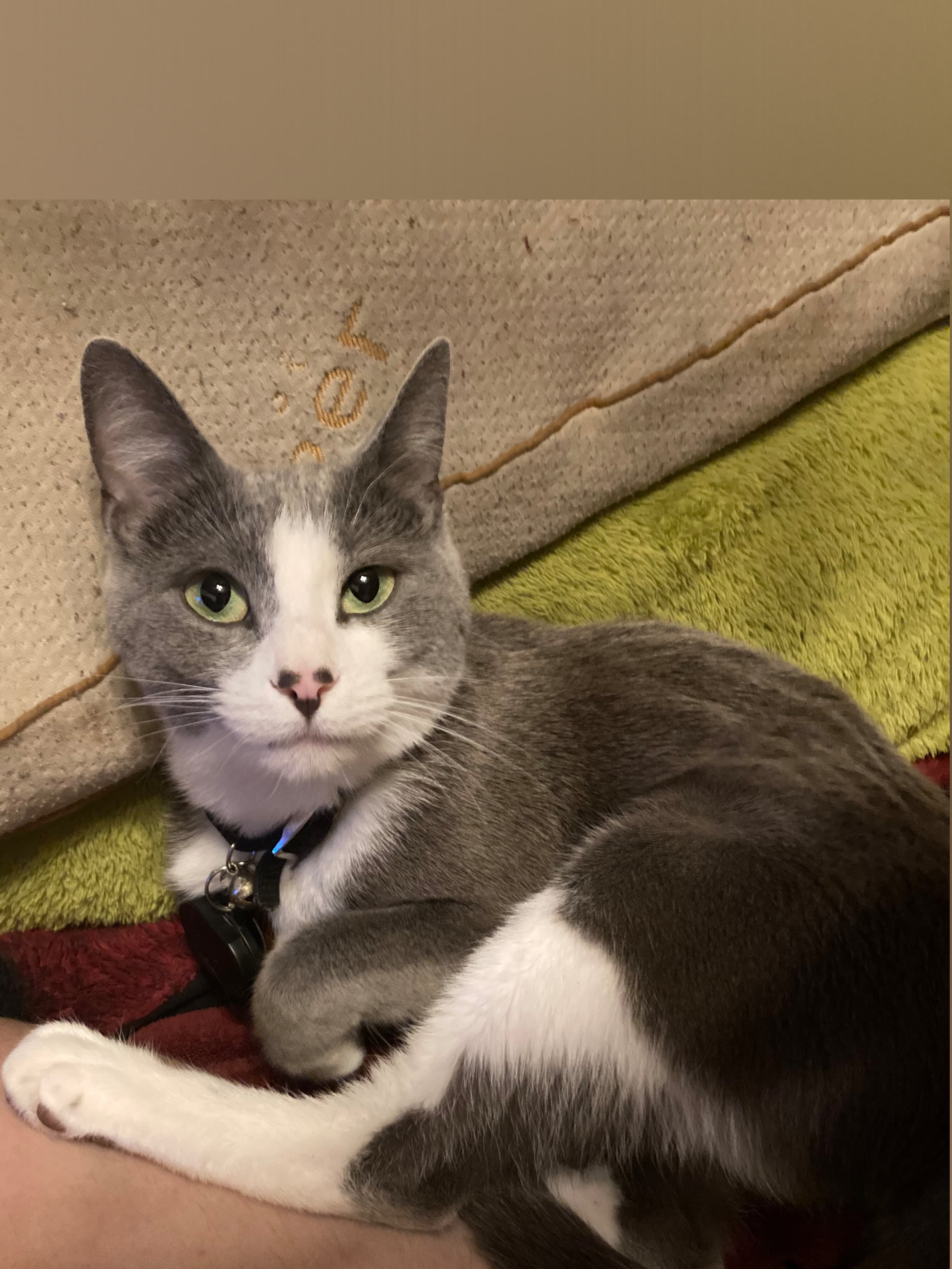 Tiffany ❤️❤️