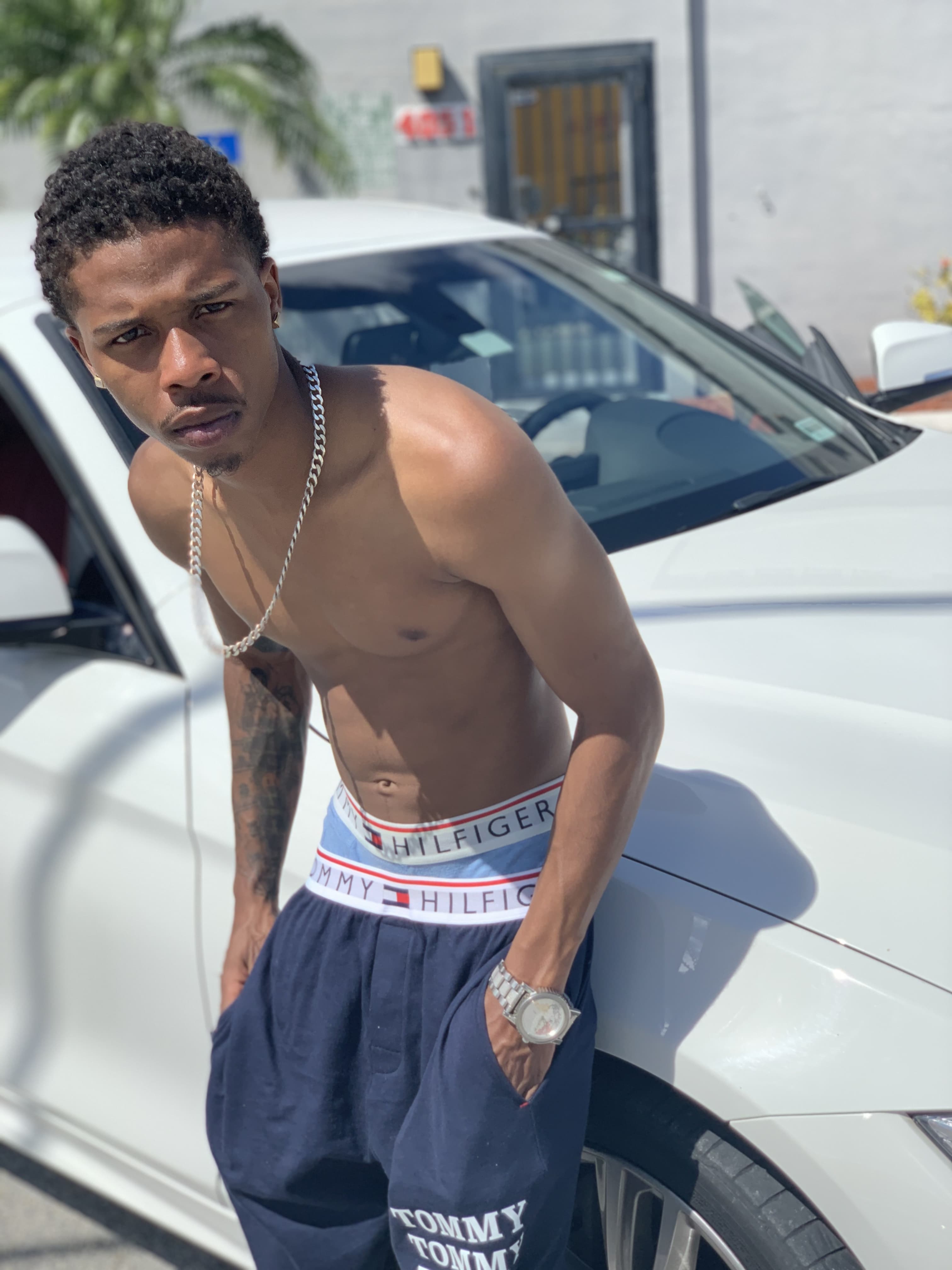 Top Performer professional 🐱🥊