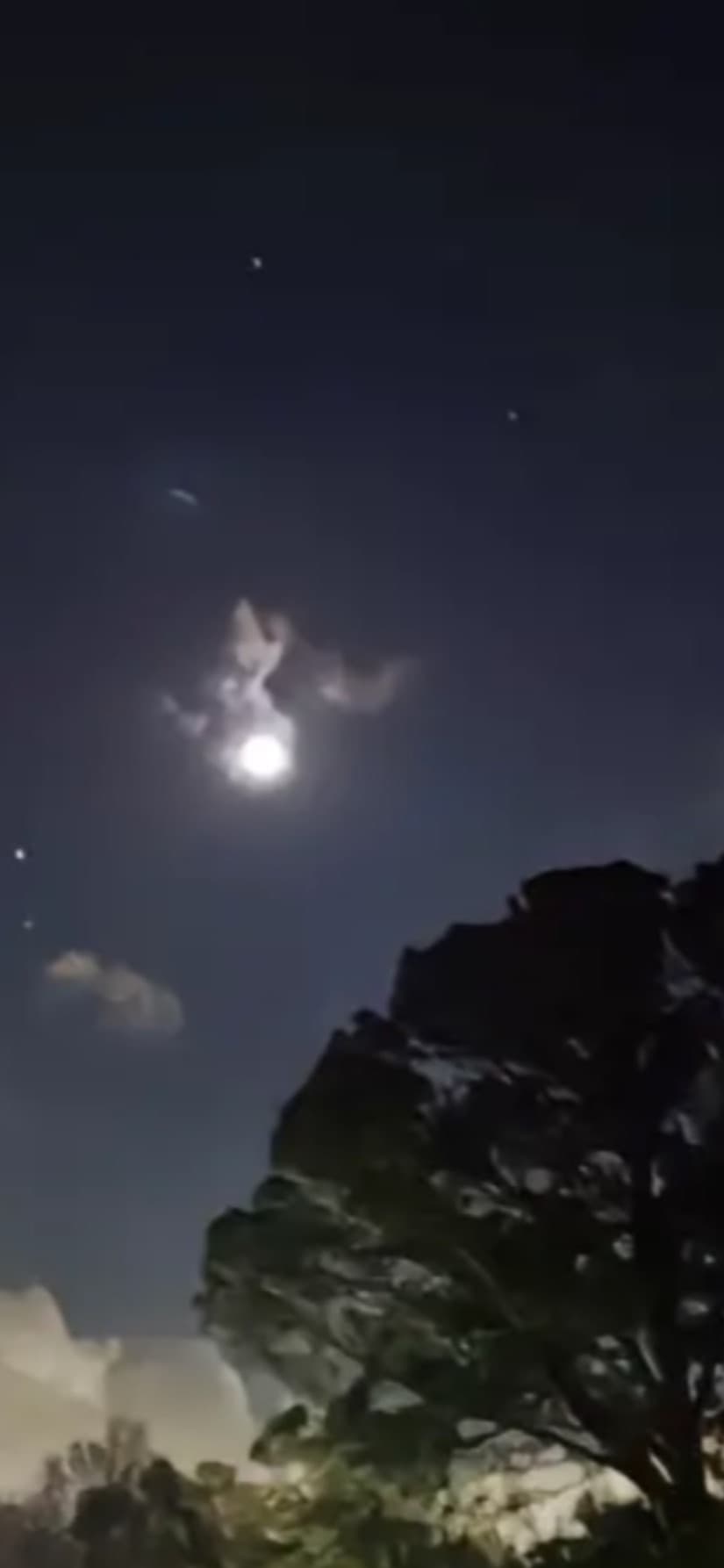 Camila Medina Adames