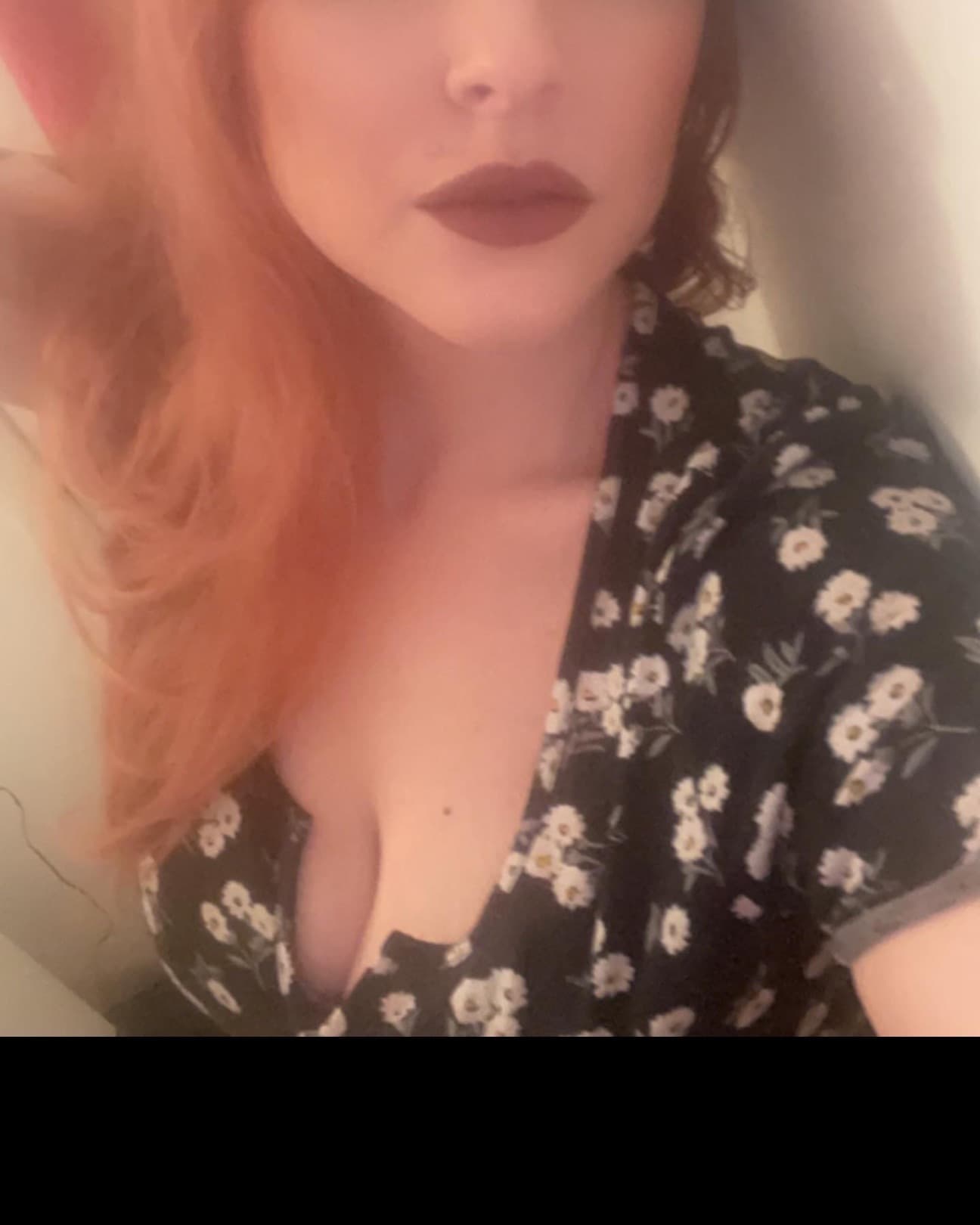 💫Cosmic Kitty⭐️