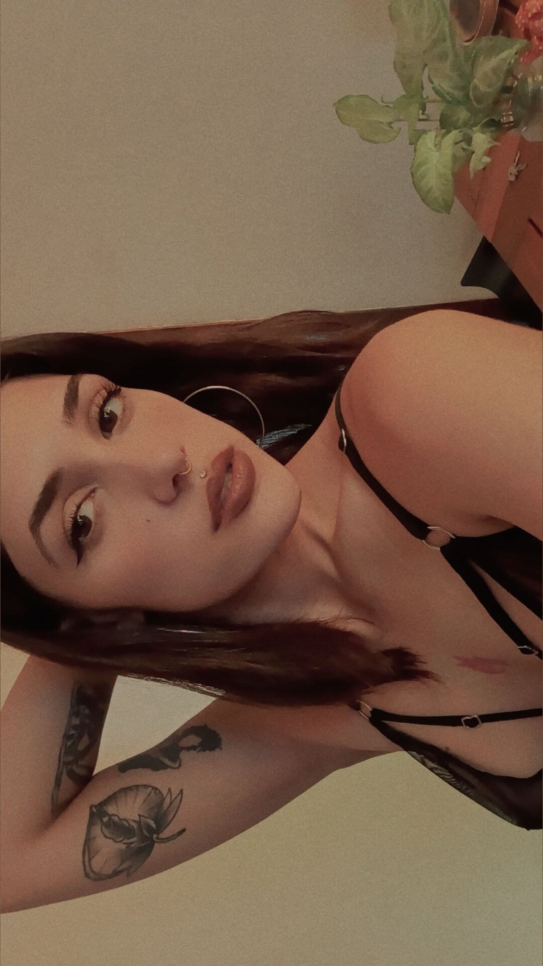 𝕄𝕚𝕤𝕤𝔹𝕒𝕓𝕤