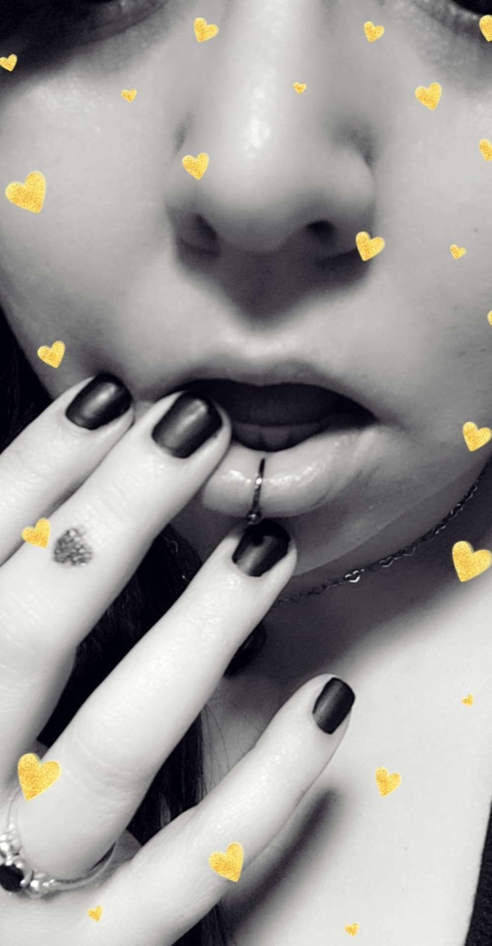 Bunny (Free Account)