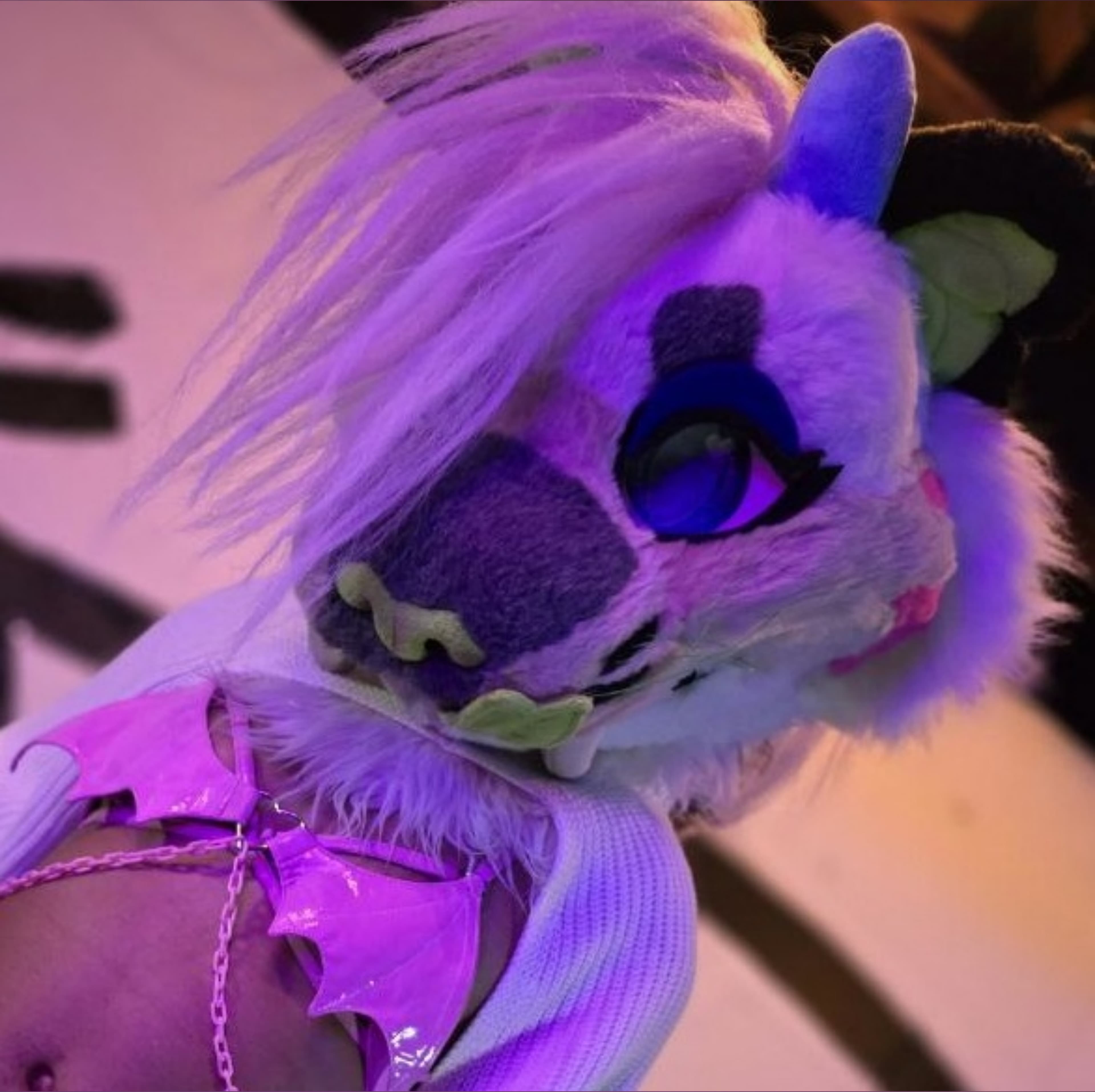 🌲 Kiki's Den 🌲