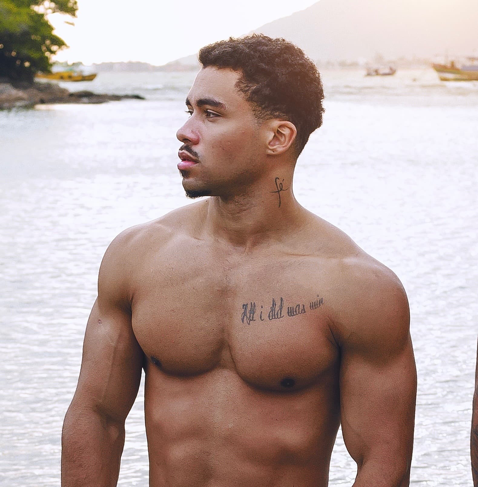 Pitel From The South 🌎