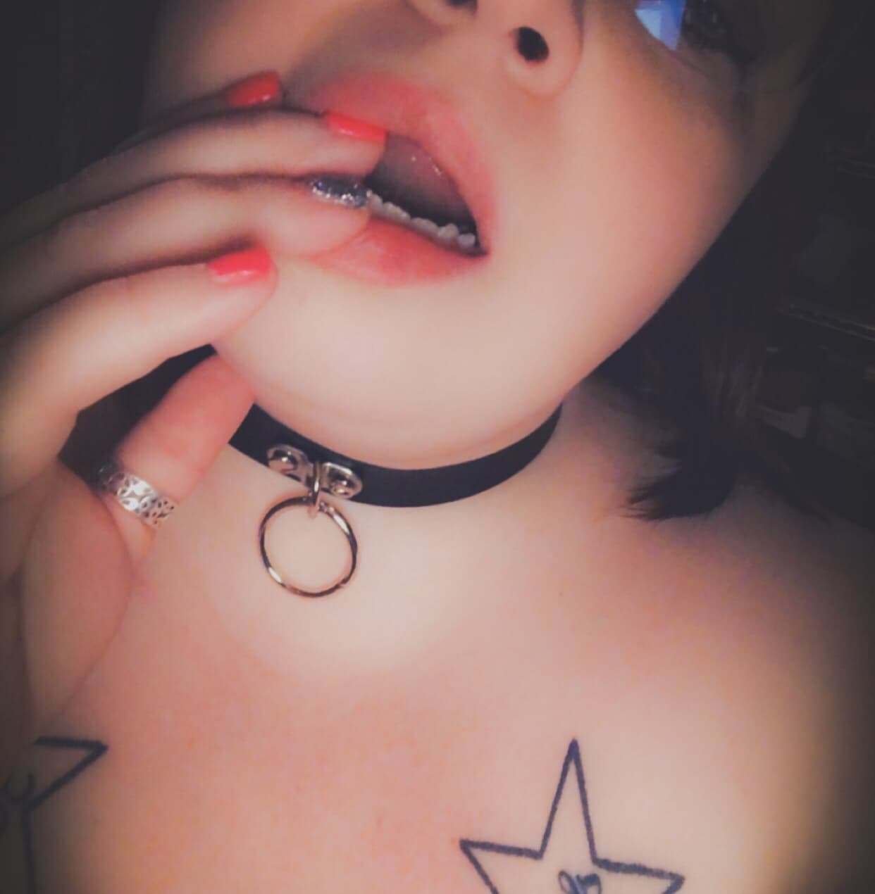 Stella &amp; the Cock