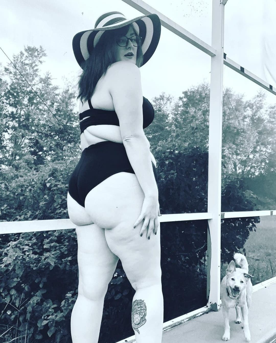 The Dilly Queen 👑