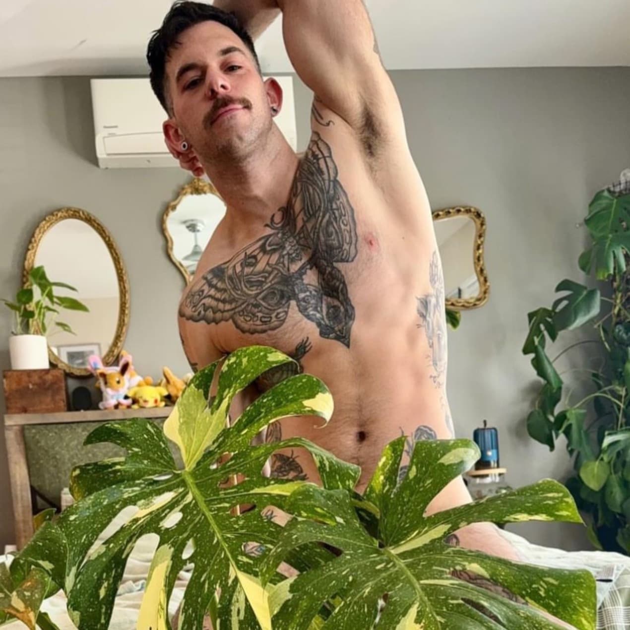 TRO “onlyPlants”