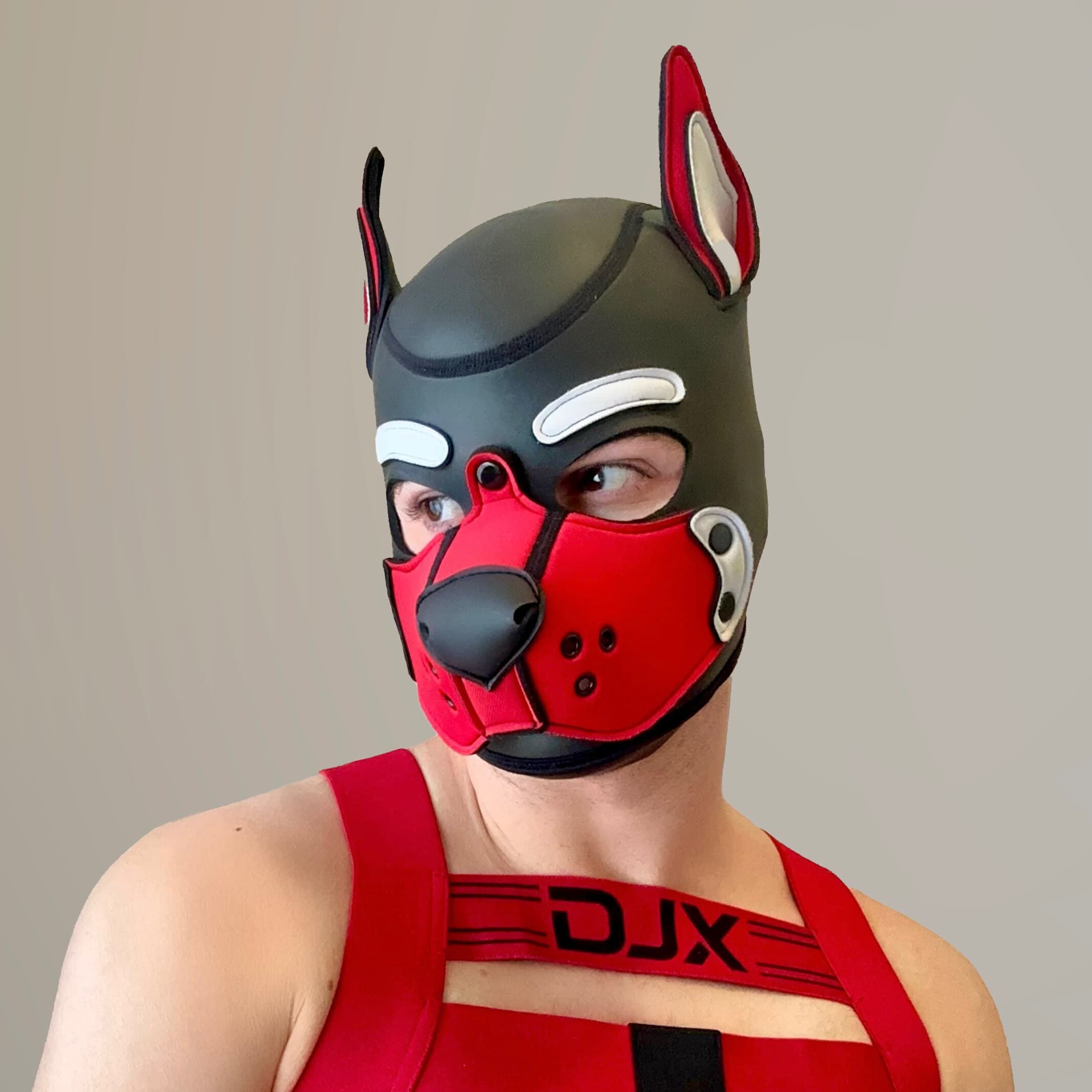 Pup Clifford