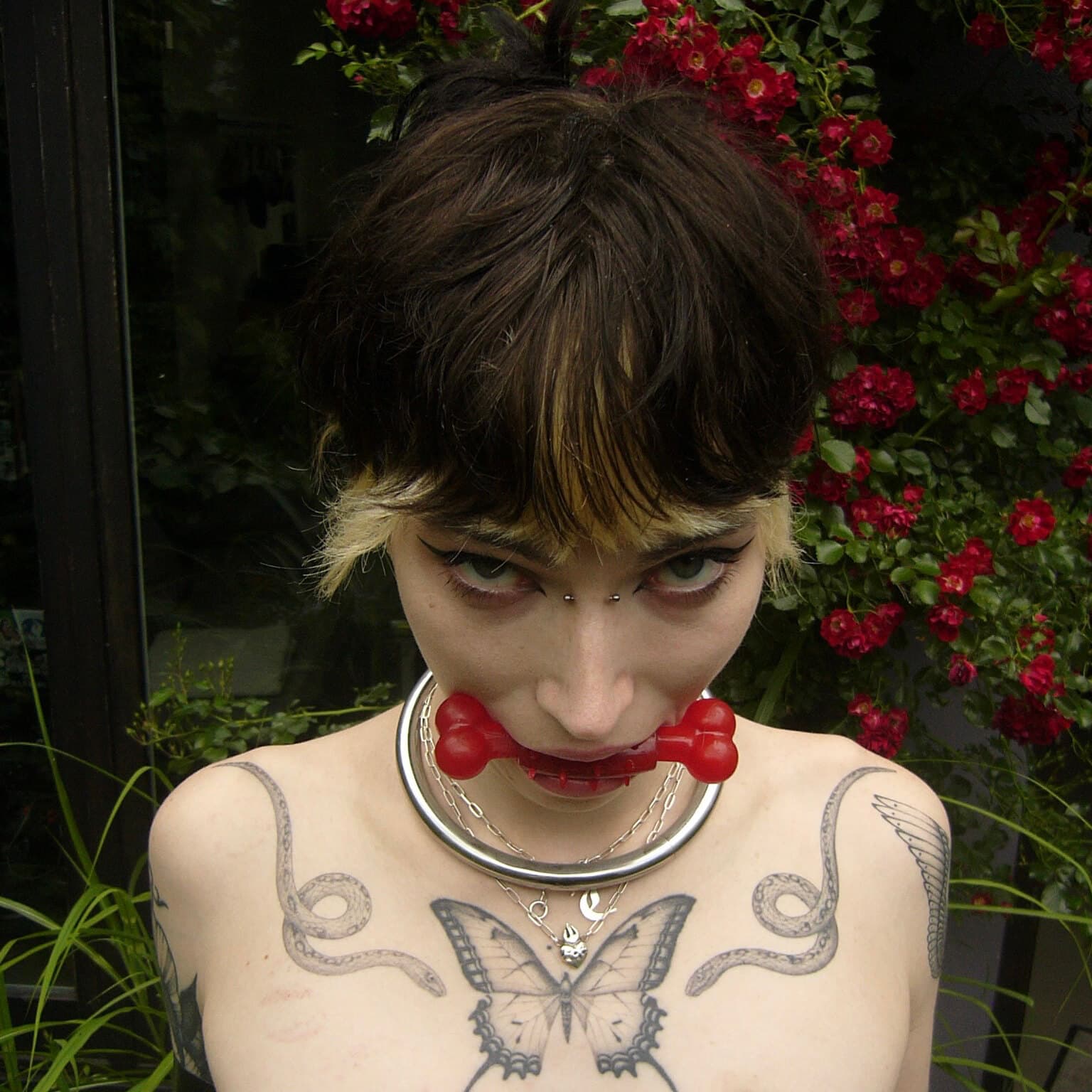 ✧𝕿𝖗𝖎𝖘𝖘✧