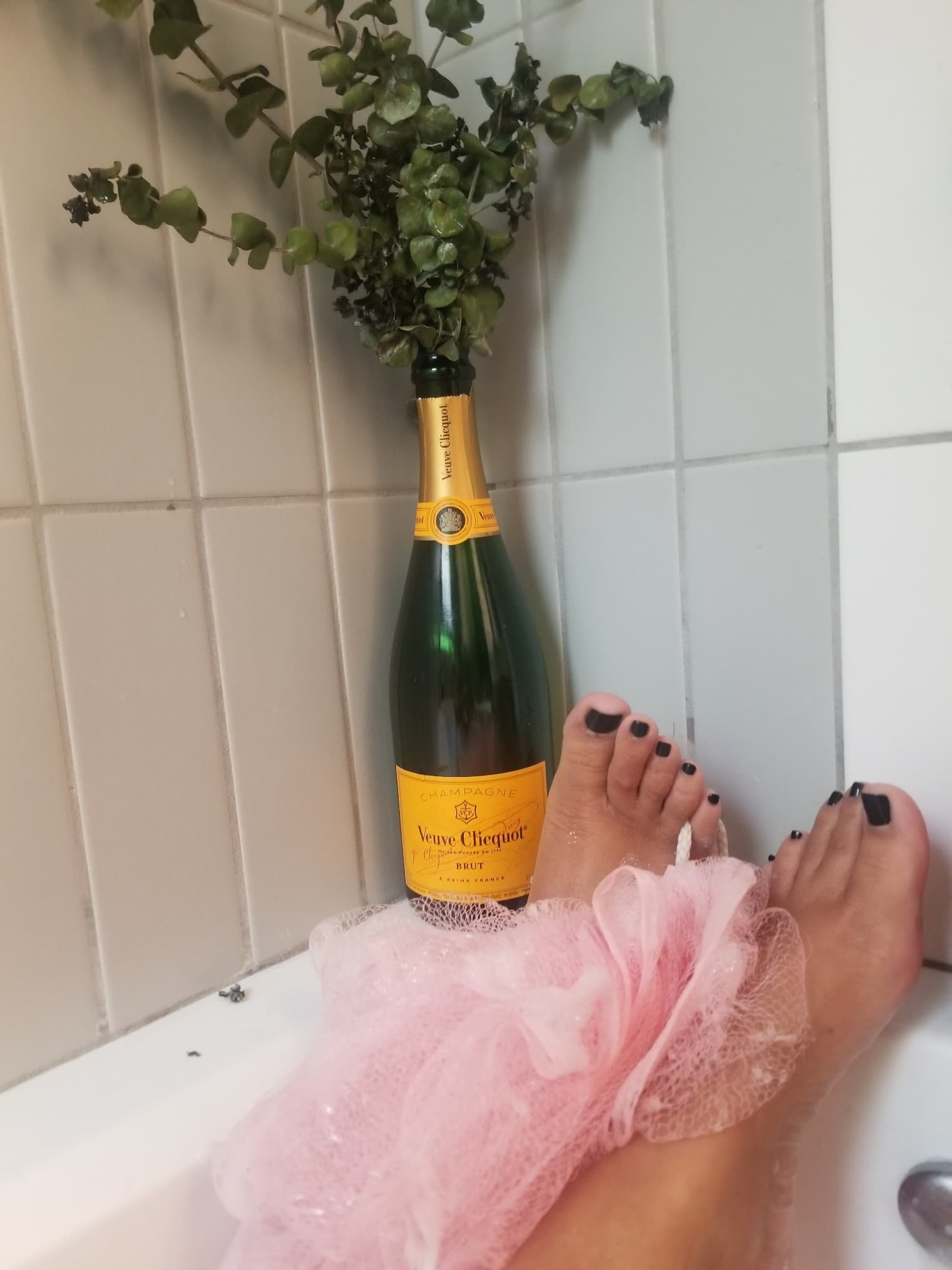 HeyMsParker OnlyFans