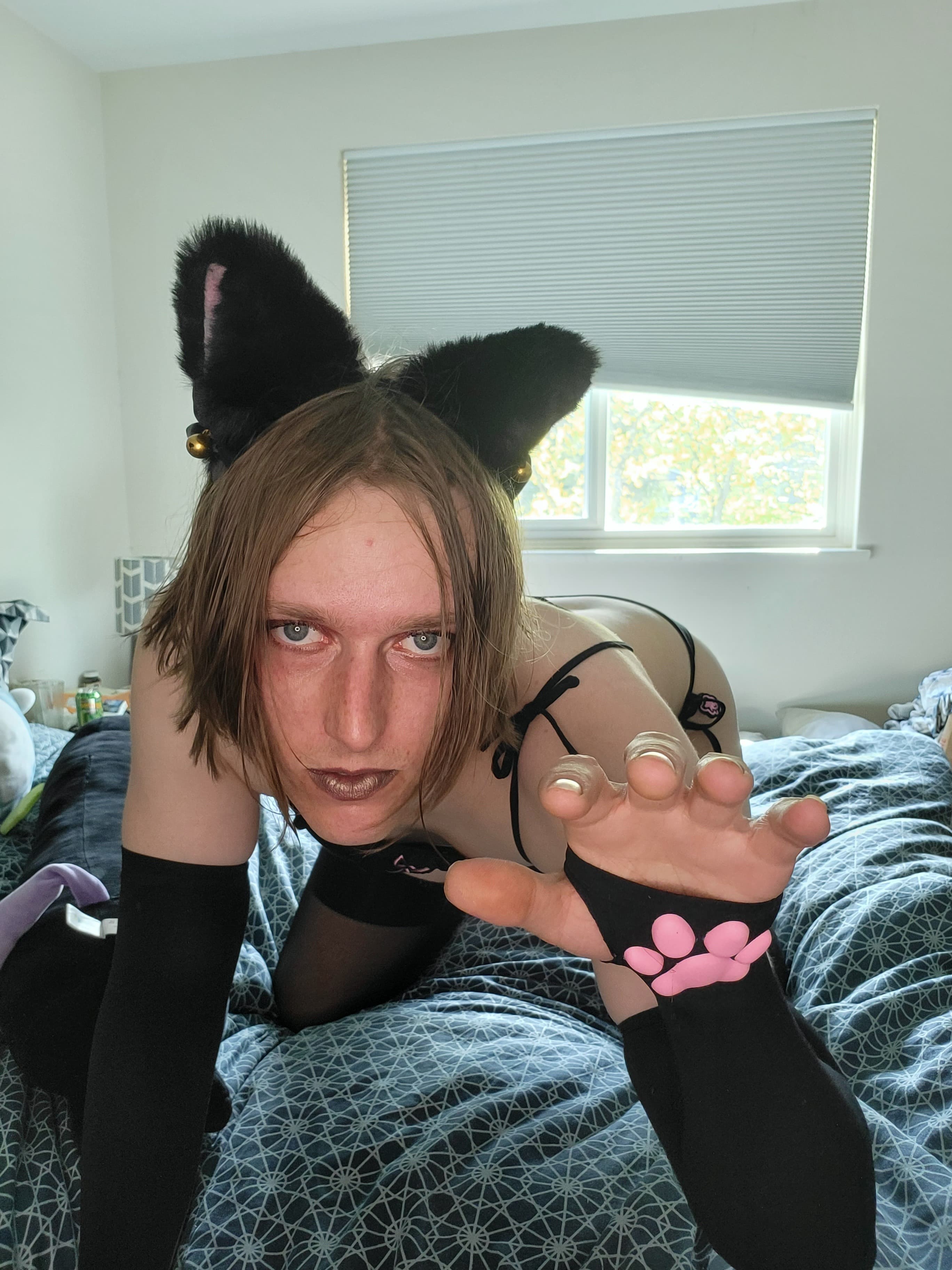 Unicorn Rainbow Brain