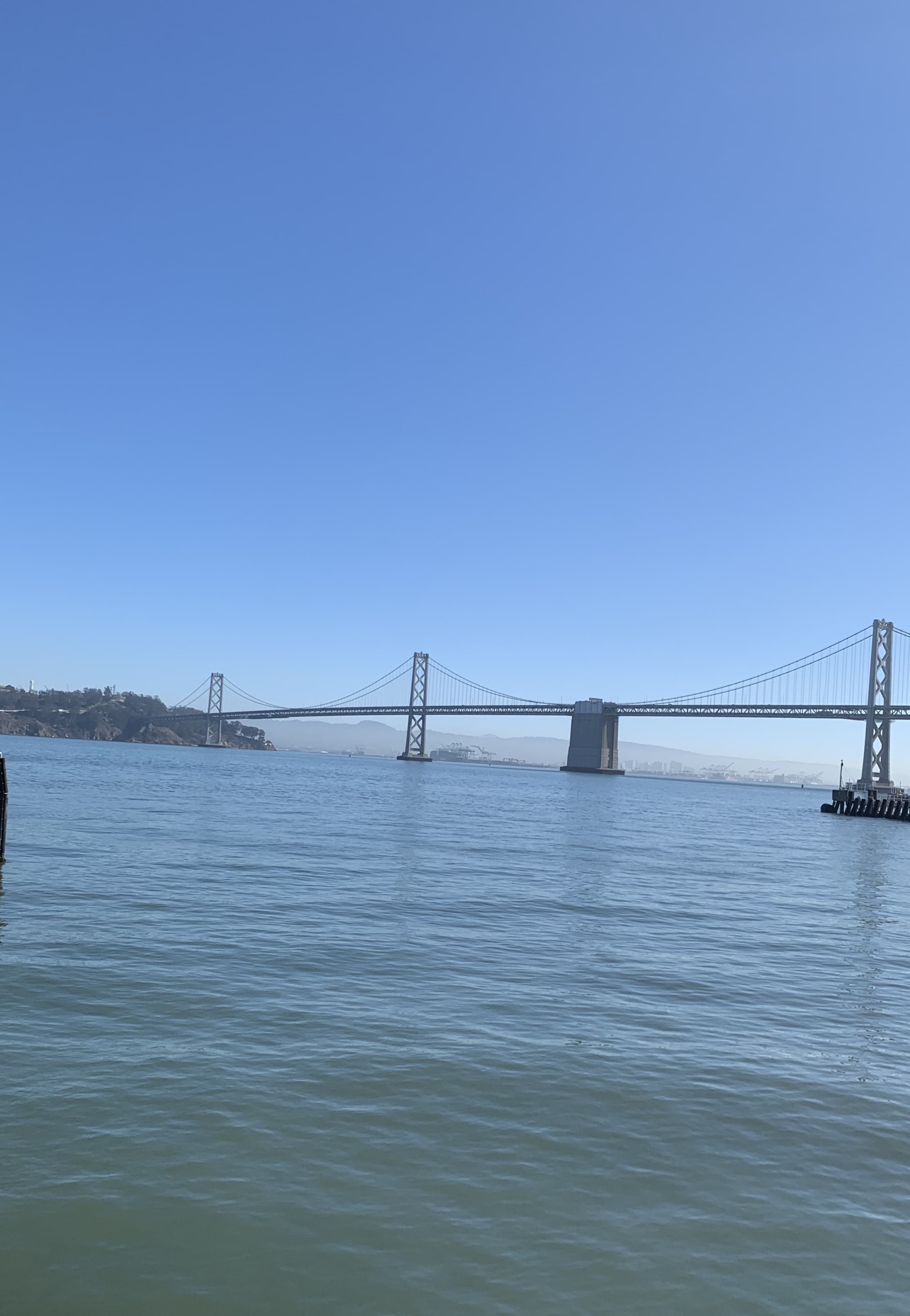 Wellness Tips &amp; More